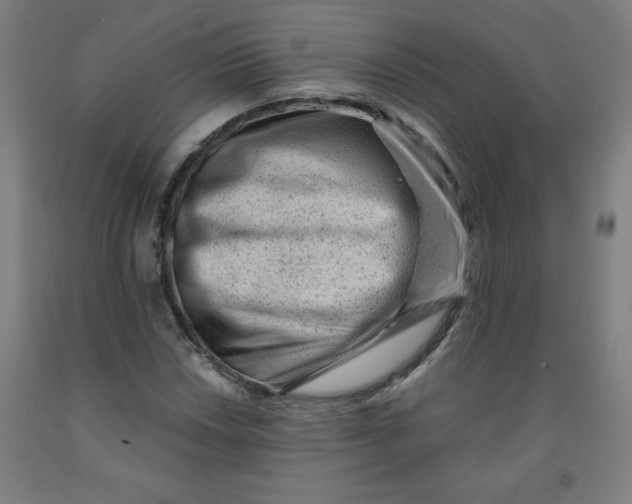 X0000091881018200709261347