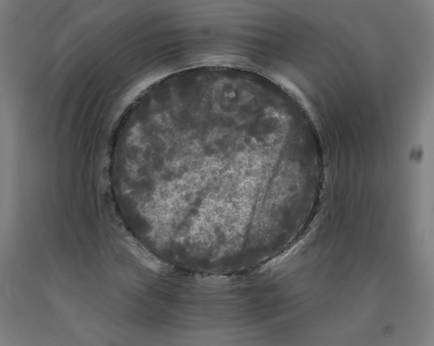 X0000091881019200709261347