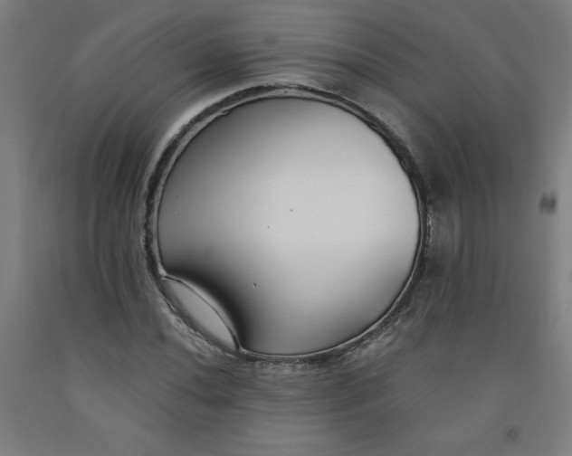 X0000091881020200709261347