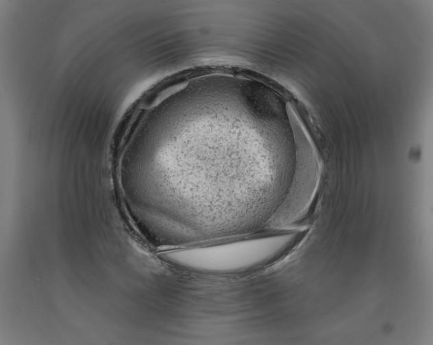 X0000091881022200709261347