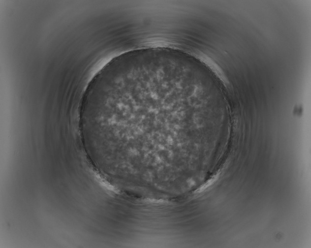 X0000091881023200709261347