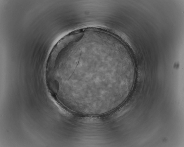 X0000091881024200709261347