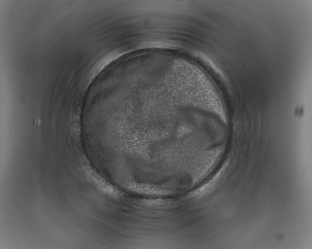 X0000091881025200709261347