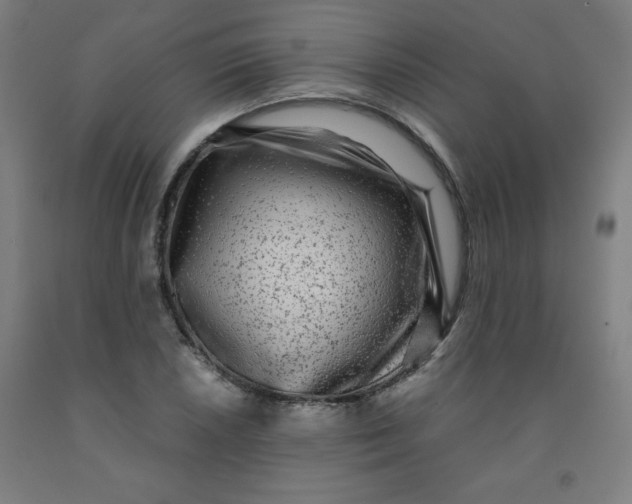 X0000091881026200709261347