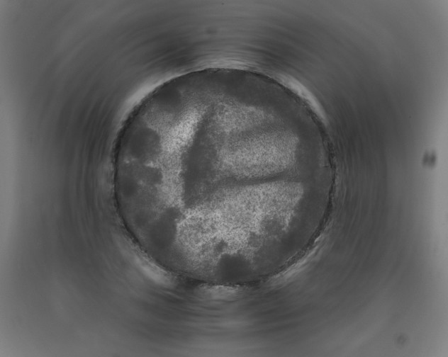 X0000091881027200709261347