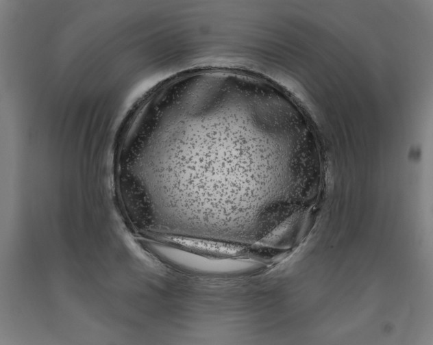 X0000091881030200709261347