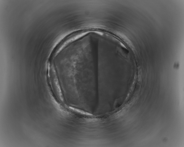 X0000091881031200709261347