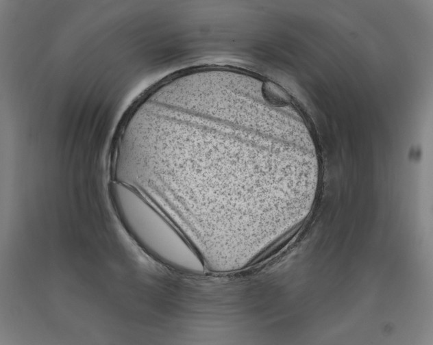 X0000091881032200709261347