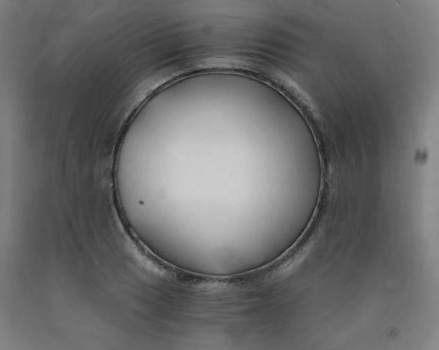 X0000091881033200709261347