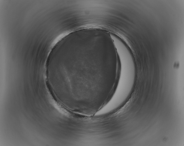 X0000091881034200709261347