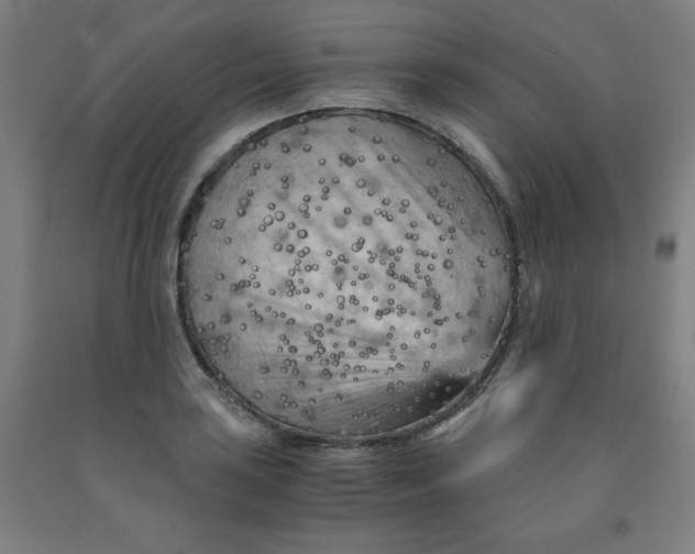 X0000091881035200709261347