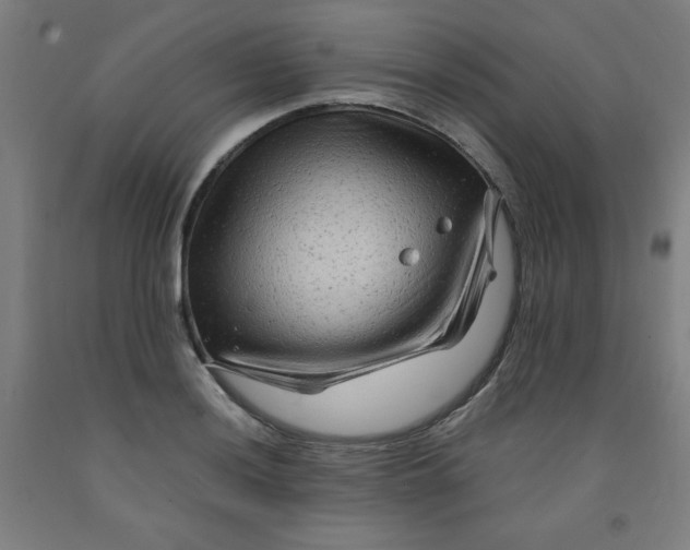 X0000091881036200709261347