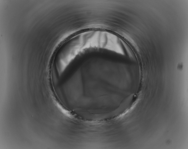 X0000091881037200709261347