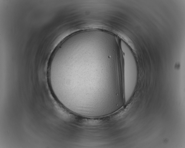 X0000091881039200709261347