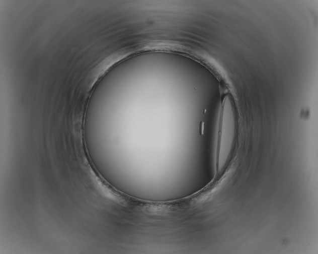 X0000091881041200709261347