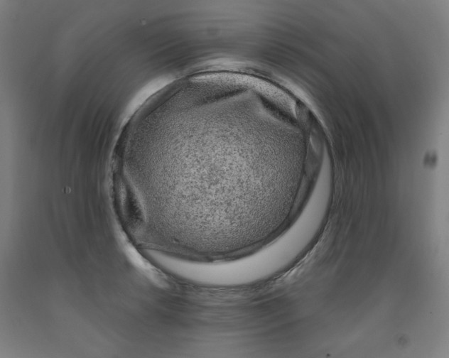 X0000091881042200709261347