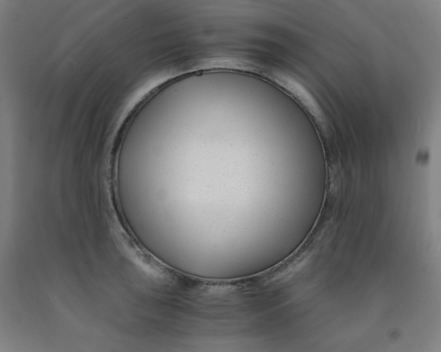 X0000091881043200709261347