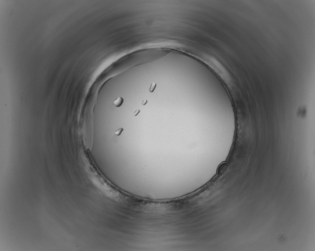 X0000091881044200709261347