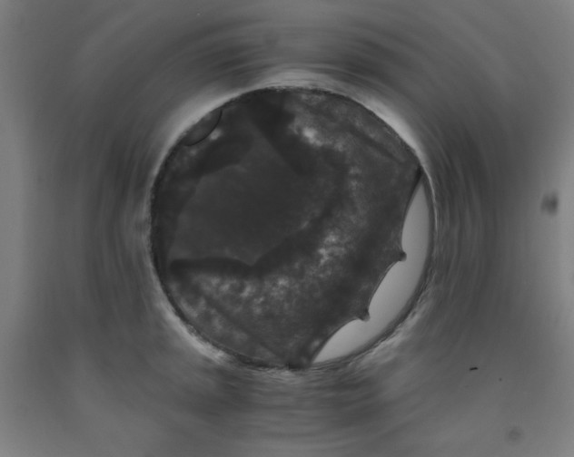 X0000091881045200709261347