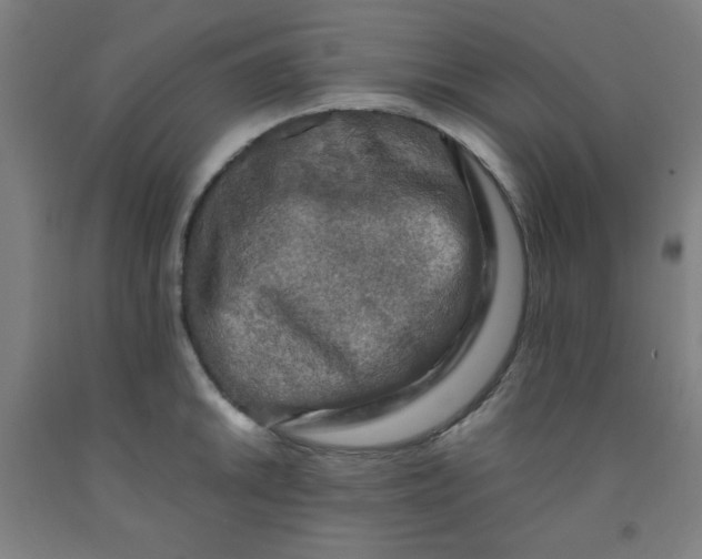 X0000091881046200709261347