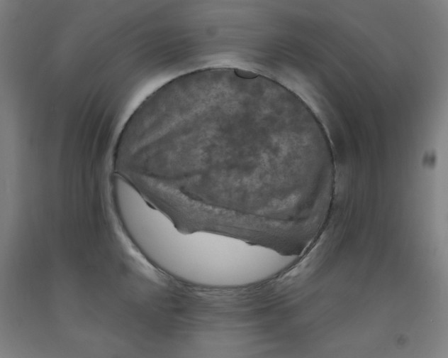 X0000091881048200709261347