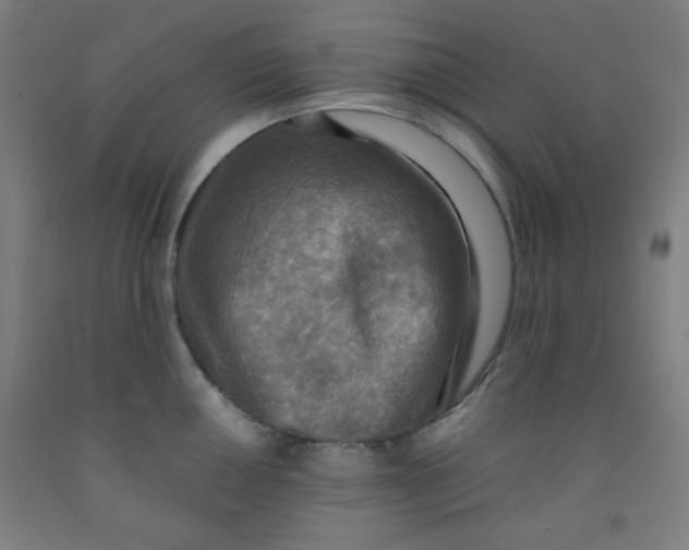 X0000091881050200709261347