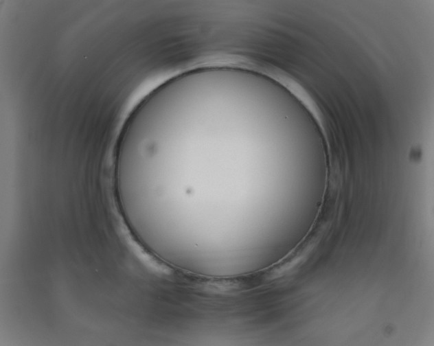 X0000091881053200709261347