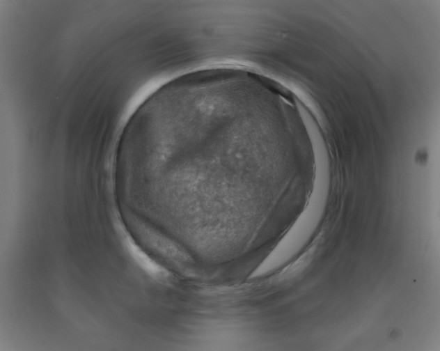 X0000091881054200709261347