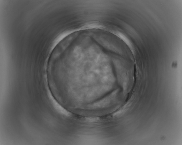 X0000091881055200709261347