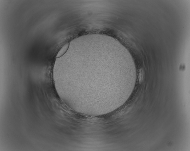 X0000091881059200709261346