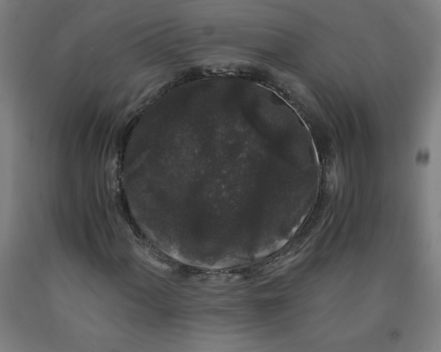 X0000091881060200709261346