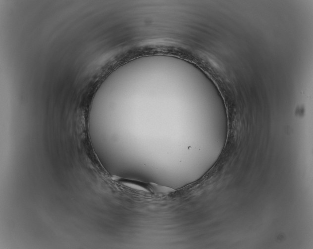 X0000091881062200709261346