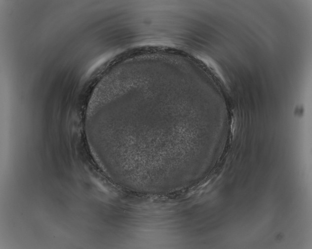 X0000091881064200709261346