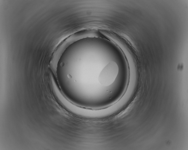 X0000091881065200709261346