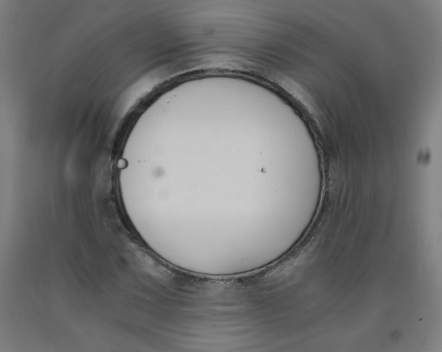 X0000091881067200709261346