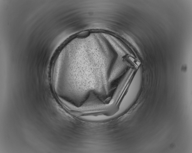 X0000091881068200709261346