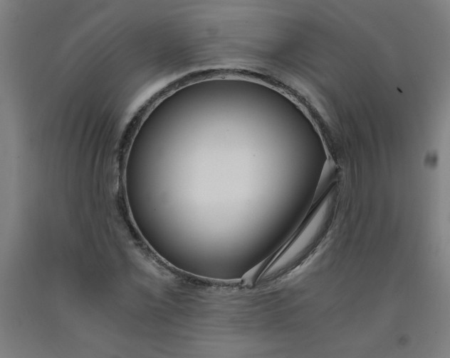 X0000091881069200709261346