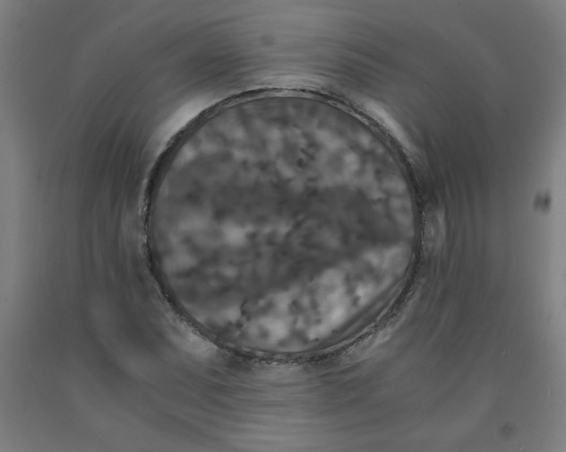 X0000091881071200709261346