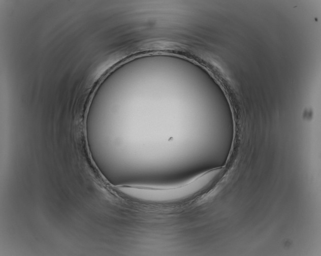 X0000091881073200709261346