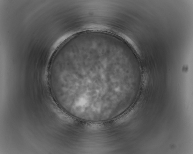 X0000091881074200709261346