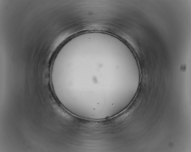 X0000091881075200709261346