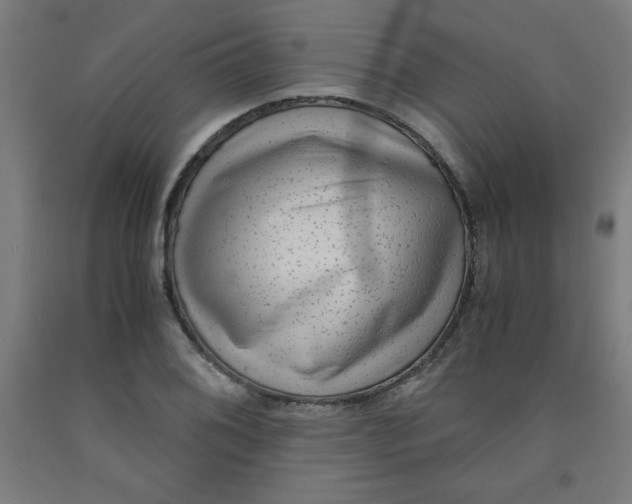 X0000091881076200709261346