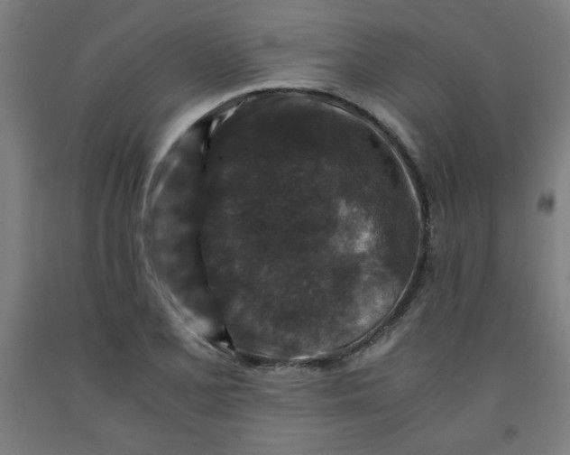 X0000091881077200709261346