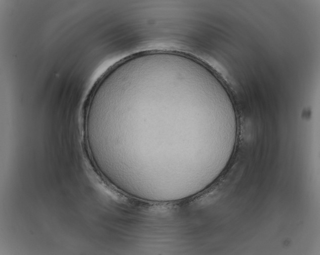 X0000091881078200709261346