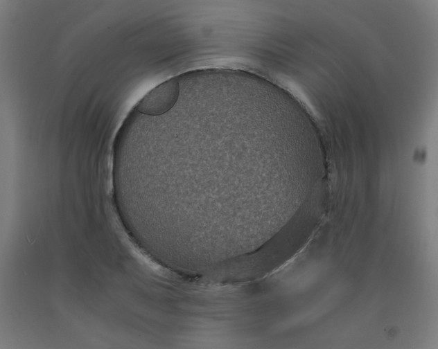 X0000091881079200709261346