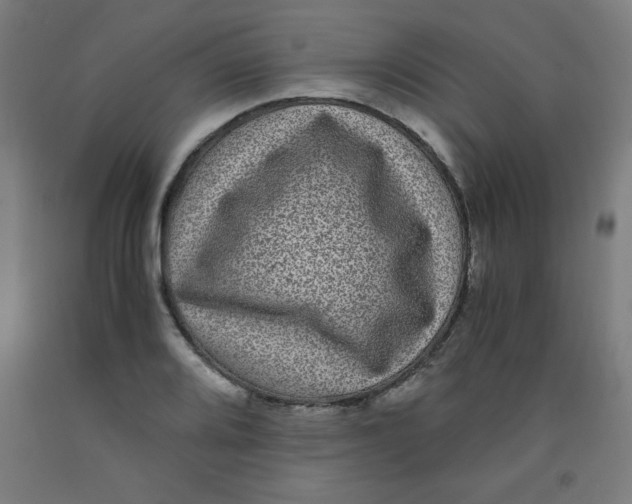 X0000091881080200709261346