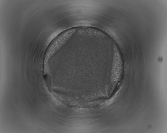 X0000091881081200709261346