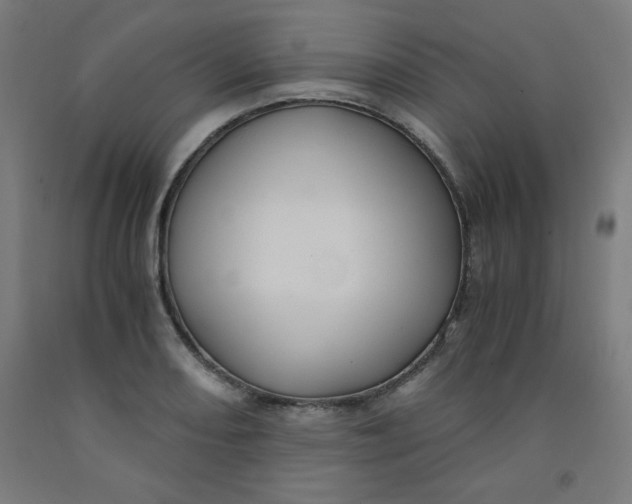 X0000091881082200709261346