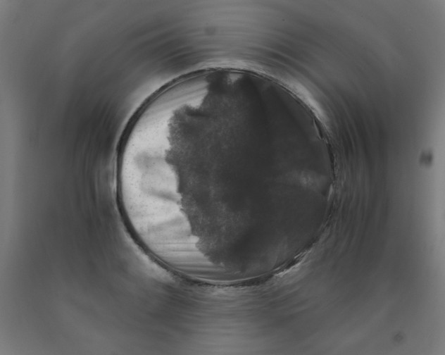 X0000091881084200709261346