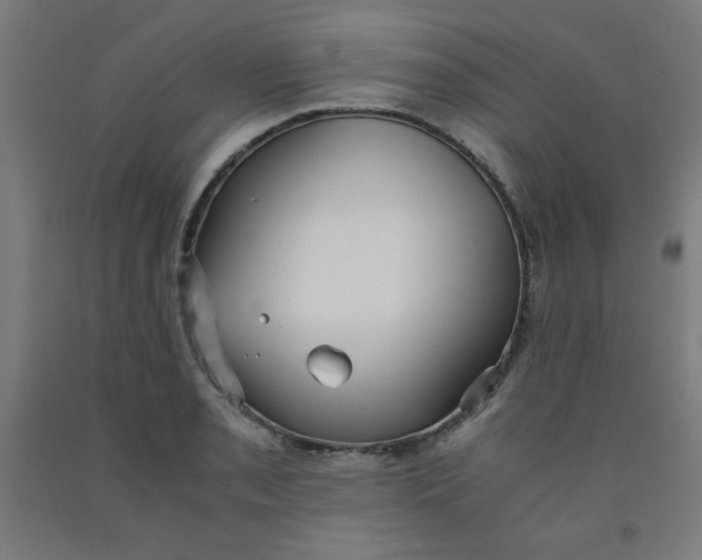 X0000091881085200709261346